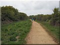 Downs Link Cycle Path in BN43 5FG