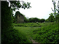 First view of ruined church, Westley in IP33 3SL