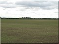 Farmland near Westfield Farm in HU17 8SY