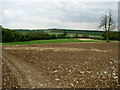 View East from Buckholt Farm in SP5 1LS