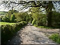 The track which leads to the Bulldog Fish Farm and Kingdon's Gardens in EX32 7NQ