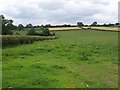 Fields west of Dallowview in HG4 3BT