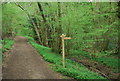 Footpath junction, Spring Wood in RH13 6LH