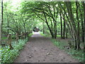 Ruislip: Copse Wood bridleway in HA6 2SR