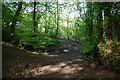 Footpath in Hardy Wood in M34 6ER