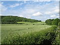 Farmland and forest below Roundway Hill in SN10 2FQ
