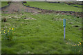 Bridleway up onto Glaisdale Rigg in YO21 2PZ