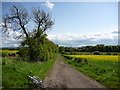 Rural East Lothian : On The John Muir Way Between Stonelaws and Kamehill in EH40 3DX