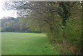 The edge of Jones's Wood in RH13 6LG