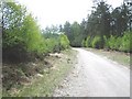 Forestry track approaching Sutherland Road in YO18 8ET