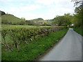 Approaching Llanarmon Dyffryn Ceiriog from the northwest in LL20 7LJ