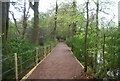 Footpath across the pond bay, Roosthole Pond in RH13 6JW