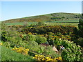 East Lothian Landscape : View Across the Valley of the Spott Burn Towards Doon Hill in EH42 1UZ