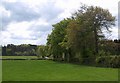 Trees near Widcombe in TA3 7DU