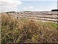 Polythene sheeting, West Cassingray in KY9 1HS