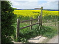 Footpath to King's Somborne in SO20 6PW