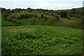 Field of rough grazing near Littledean in GL14 3LL