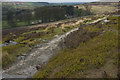 Footpath above Wheeldale Lodge in YO22 5AP