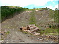 Log piles near Comrie in IV14 9EN