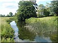 River Stour at Sudbury in CO10 1GR