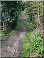 Footpath, Little Cheverell in SN10 5UZ