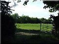 Open gate leading into a field in LL62 5NW