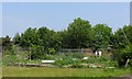 Allotments in LE7 9GX