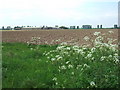 A view from Waterlees Road, Wisbech in PE13 3BA