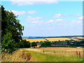 Farmland east of Eldon Road, south of King's Somborne in SO20 6NL
