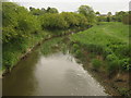 River Eden flowing towards Delaware Farm in TN8 5WT