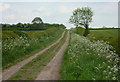 Byway east of Headon in DN22 0FR