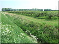 Fenland orchard in PE14 7AP