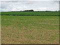 Field west of Poundbury in DT2 9DT