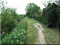 Track on the edge of town in PE13 2JQ