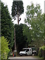 Tree surgery, Glatton in PE28 5RB