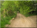 Bridleway and footpath junction near How Farm in TN8 7NN
