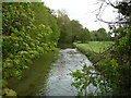 Longparish - The River Test in SP11 6PN
