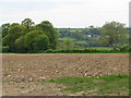 Ploughed field near Thornecombe in TA20 4NR