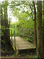 Footbridge beside Little Chittenden Wood in TN8 7WH