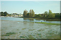 Lymington River at low tide in SO4 9WX