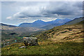 The plateau above Cefn y Capel with the Snowdon Horseshoe beyond in Capel Curig Community