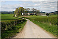 A country road to the east of Lochrutton Loch in DG2 8JB