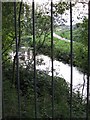 River Cole, west from Colehall footbridge in B34 6HE