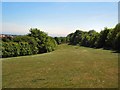 Three Cornered Copse looking South in BN3 6WA