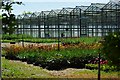 Harnetts Glasshouses in CM4 9PT