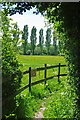 Footpath to Brook Farm Lodge in CM4 9PT
