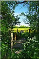 Stile & Footpath Junction in CM4 9PT