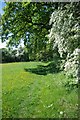 Footpath near Brook Lodge Farm in CM4 9PH