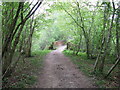Eel Bridge , midway between Lodsworth and River in GU28 9DN