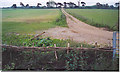 Track Through Fields, Adversane. in RH14 9GZ